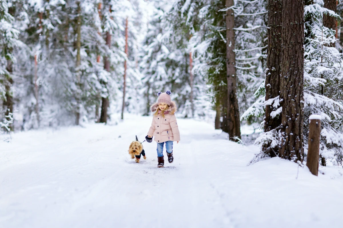 L'assurance animaux de compagnie : Une protection indispensable pour nos fidèles compagnons